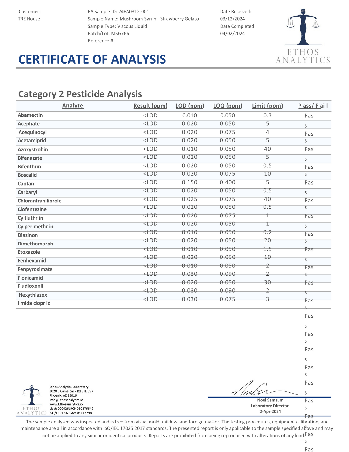 Tre House Magic Mushroom Syrup