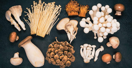 Functional vs. Trippy Mushrooms: A Complete Guide for Curious Consumers