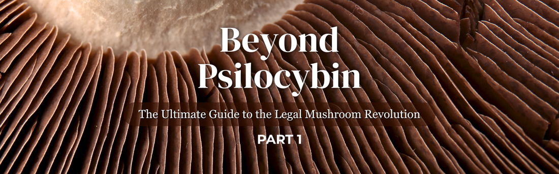Beyond Psilocybin | Part 1 | The Ultimate Guide to the Legal Mushroom Revolution
