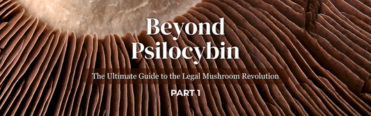 Beyond Psilocybin | Part 1 | The Ultimate Guide to the Legal Mushroom Revolution