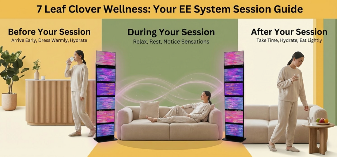 How To Prepare for an EE System Session