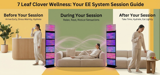 How To Prepare for an EE System Session