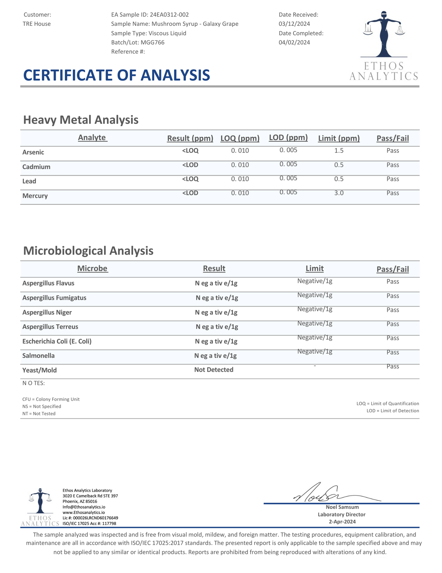 Tre House Magic Mushroom Syrup