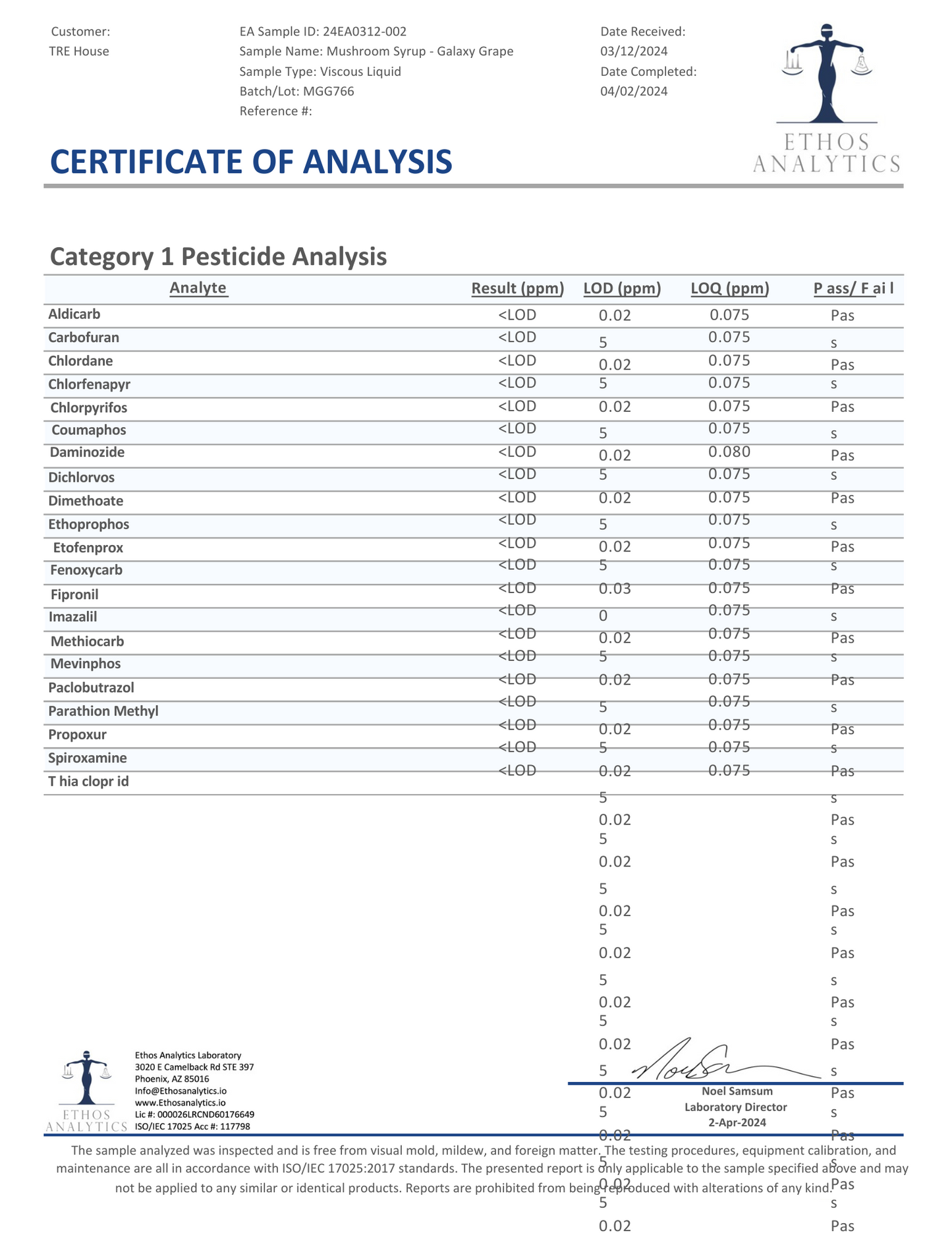 Tre House Magic Mushroom Syrup