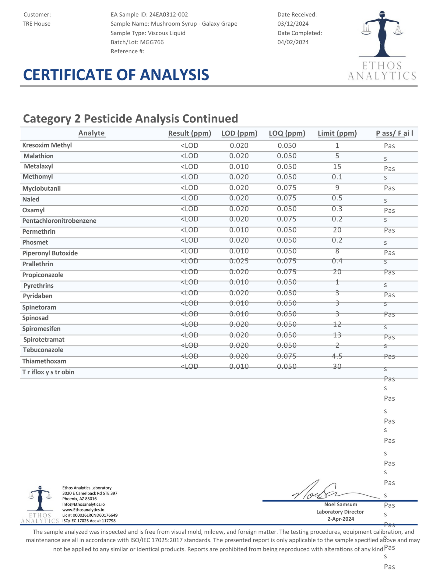 Tre House Magic Mushroom Syrup