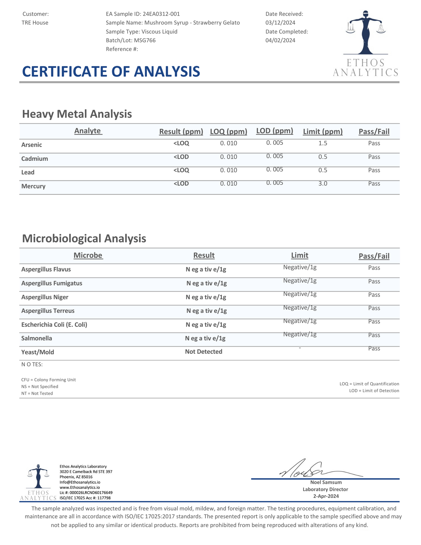 Tre House Magic Mushroom Syrup