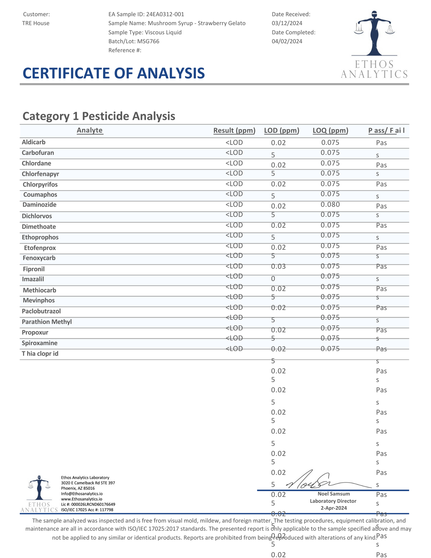 Tre House Magic Mushroom Syrup