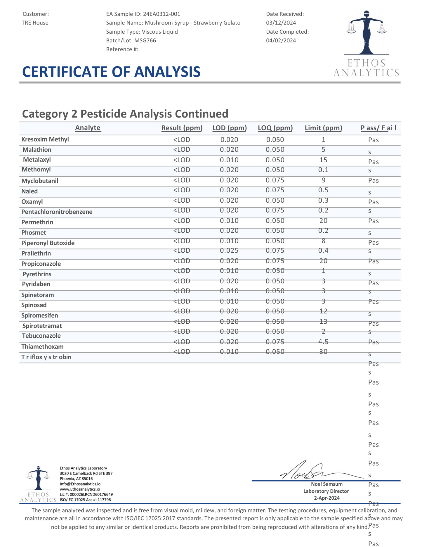 Tre House Magic Mushroom Syrup